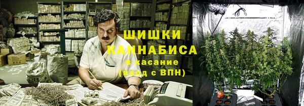 не бодяженный Семёнов