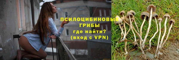 mdpv Верхний Тагил